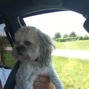 Meet your Posher, Amy